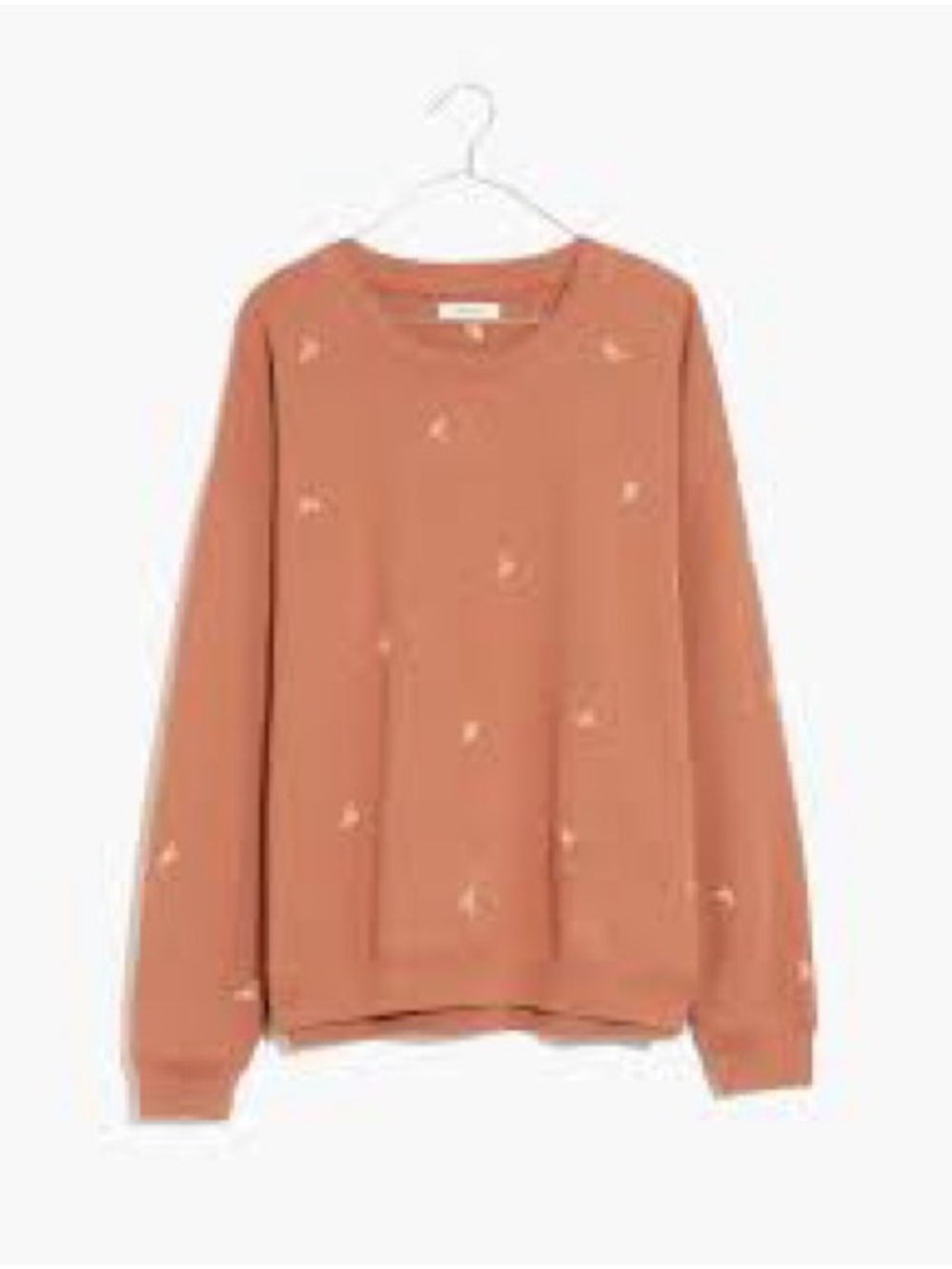 Madewell Rust Bow Embroidered Crewneck Sweatshir